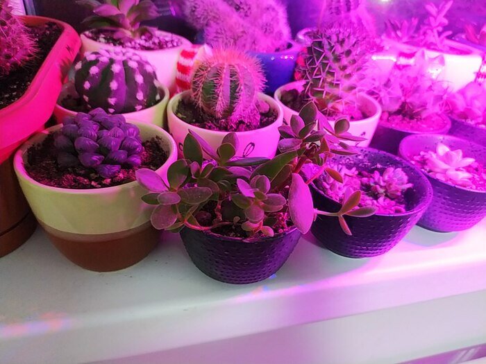 Компактные и милые