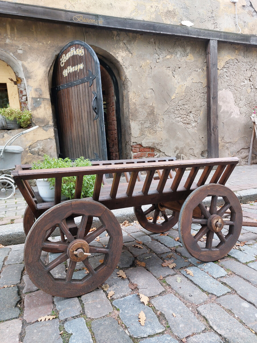 Фото автора Выборг