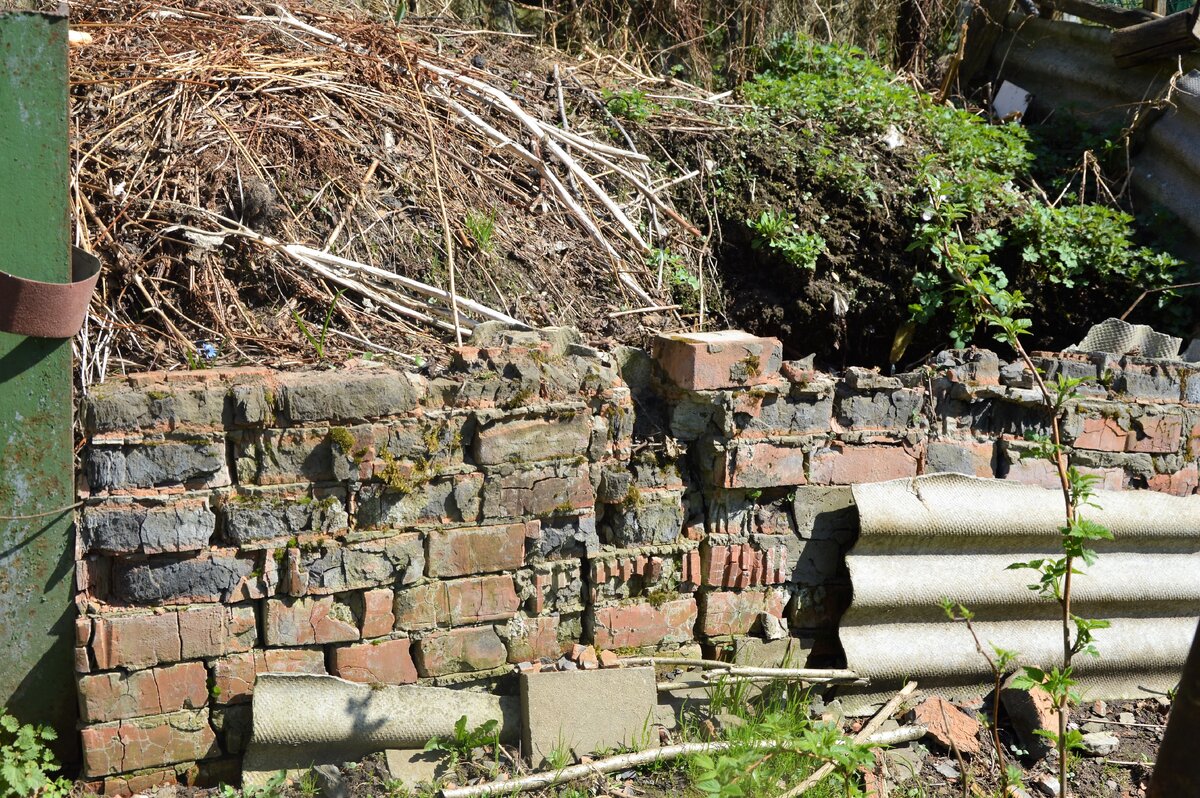    Типичная картина на наших дачах.