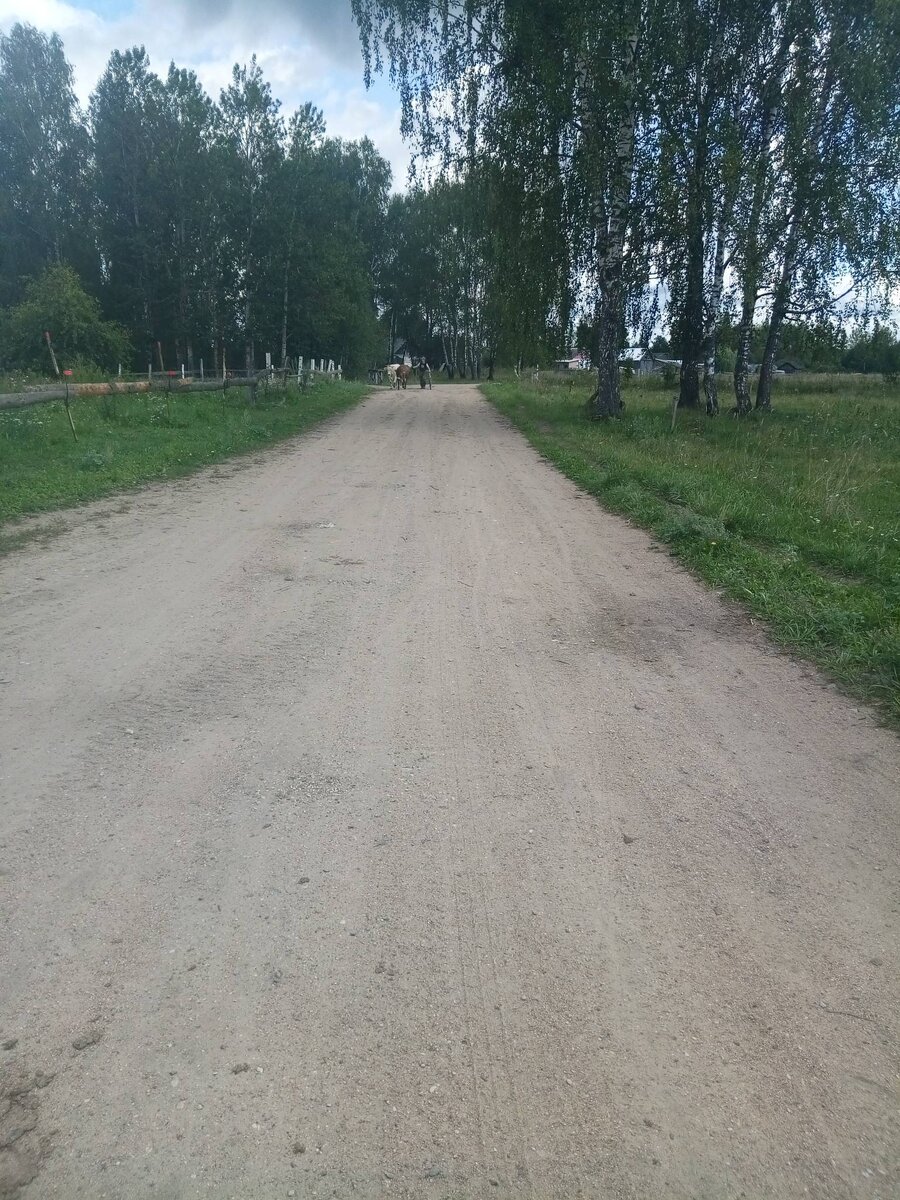 Такая вот перспектива ...