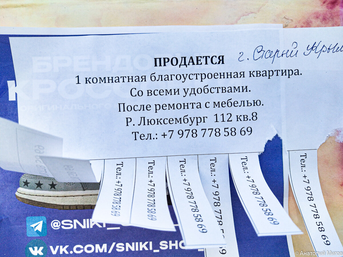 Про несбывшийся прогноз о падении цен на недвижимость в Крыму. И  традиционный обзор предложений в городке Старый Крым | Дневник отчаянных  пенсионеров | Дзен