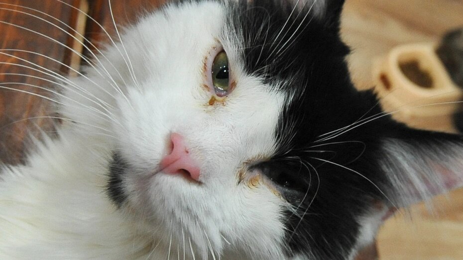    Автор фото: Михаил Кирьянов