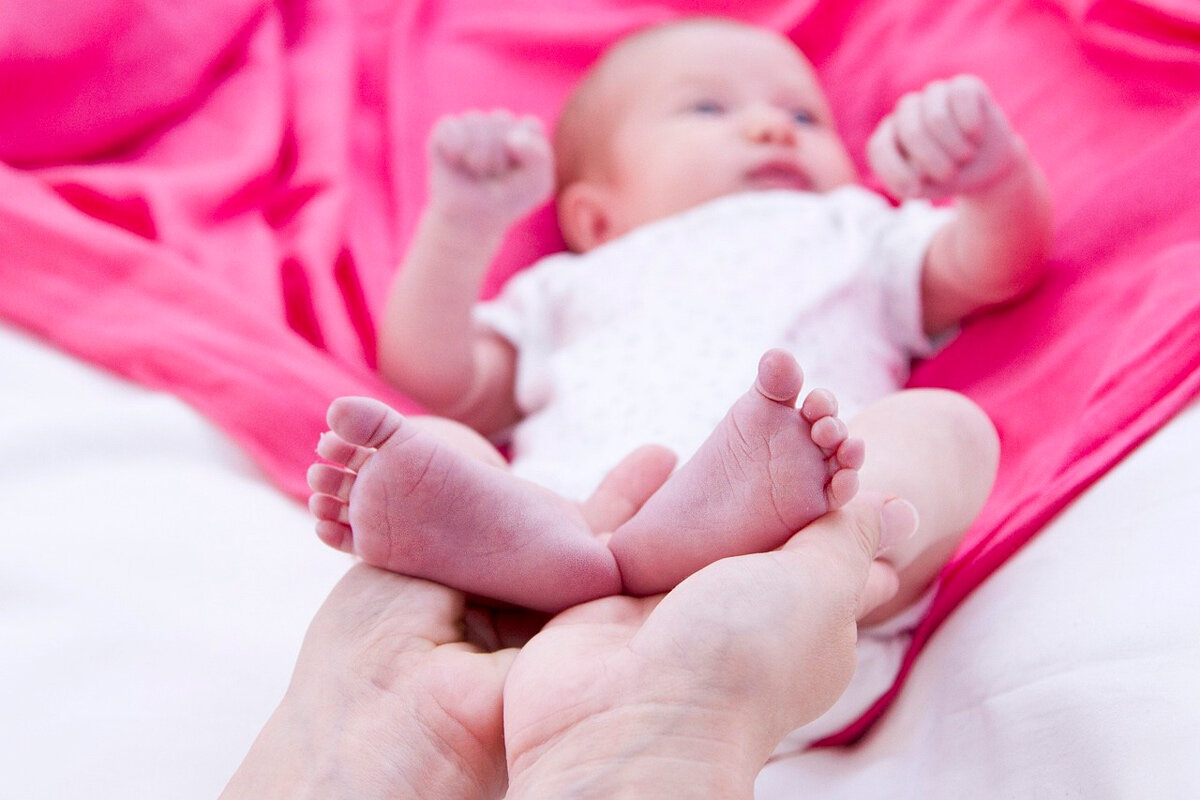    Фото: PublicDomainPictures / Pixabay.com