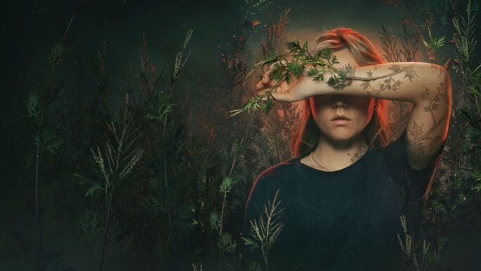 картинка из интернета