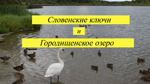 Красивое озеро воронка в виде идеального круга