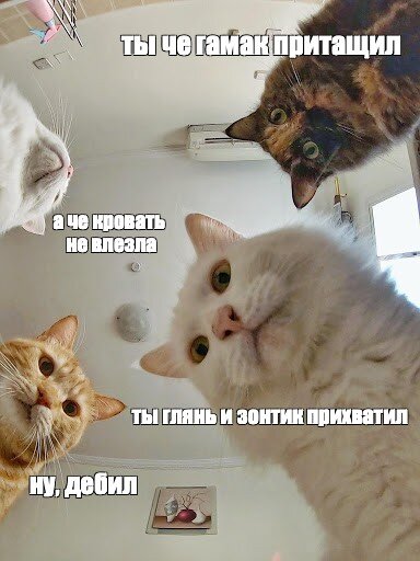 где моя кровать?