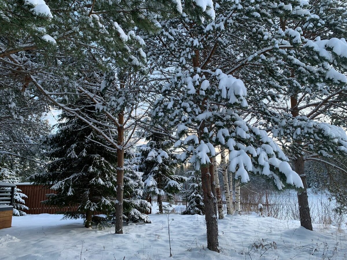 Эко-отель Harland Village 3*, Карелия