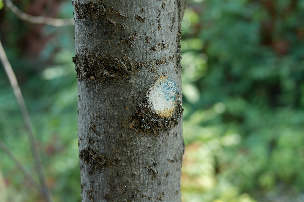 Denzel BRC-115-0 – сабельная пила, основное предназначение которой заключается в распиле древесины, труб ПВХ, различных строительных материалов и металлов.-14-2