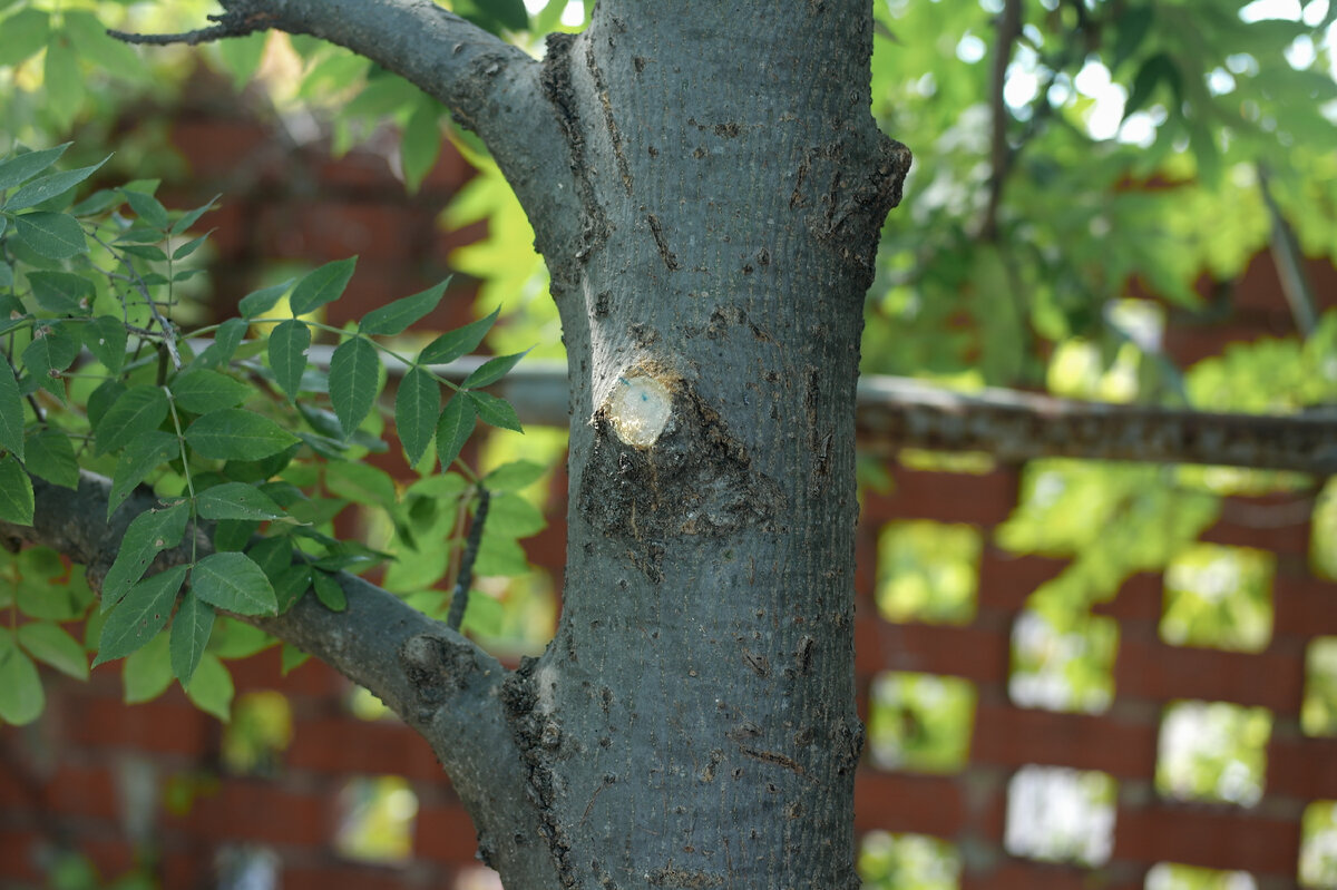 Denzel BRC-115-0 – сабельная пила, основное предназначение которой заключается в распиле древесины, труб ПВХ, различных строительных материалов и металлов.-15-2