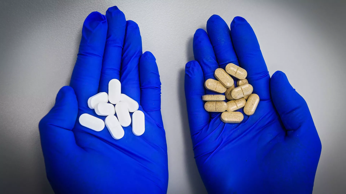 © Sputnik / Алексей Куденко