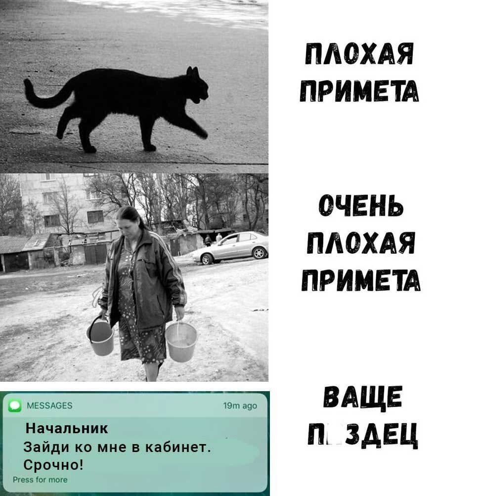 Фото из интернета. 