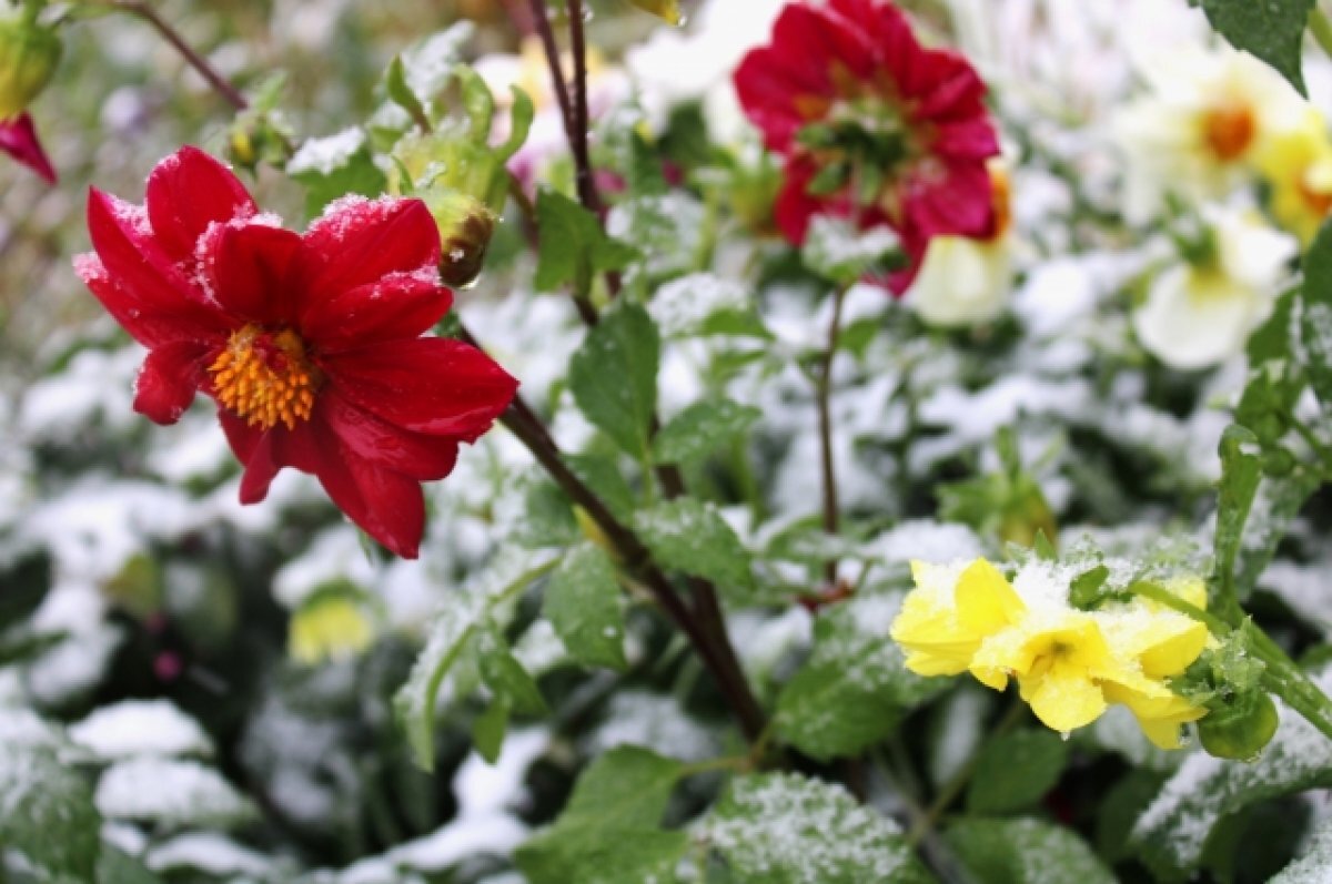    В Татарстане первый снег может выпасть уже на ближайших выходных