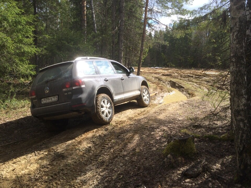 Из архива BSVPerm