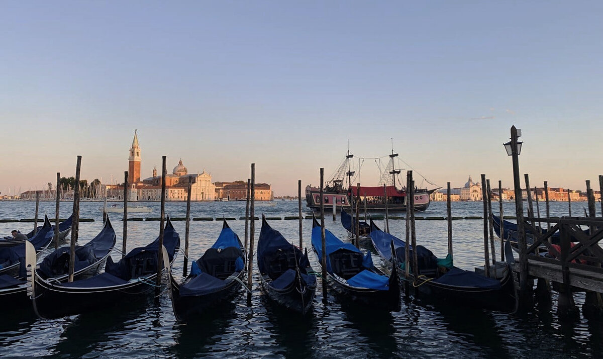 Фото: Next Generation School