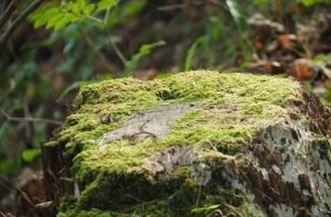    Фото: freepik.com/wirestock Анна Полякова