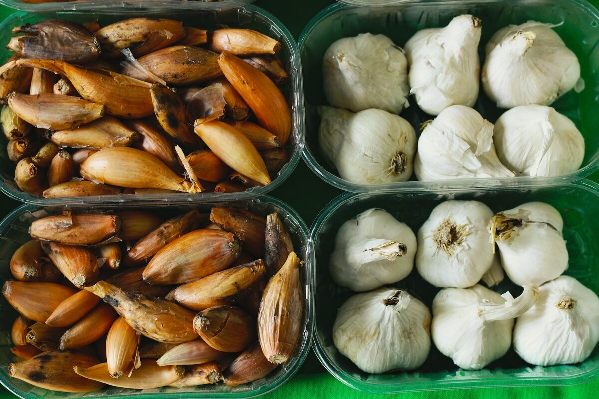     Почему вампиры боятся чеснока