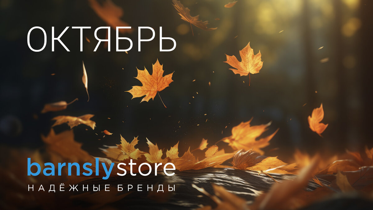 barnsly.store