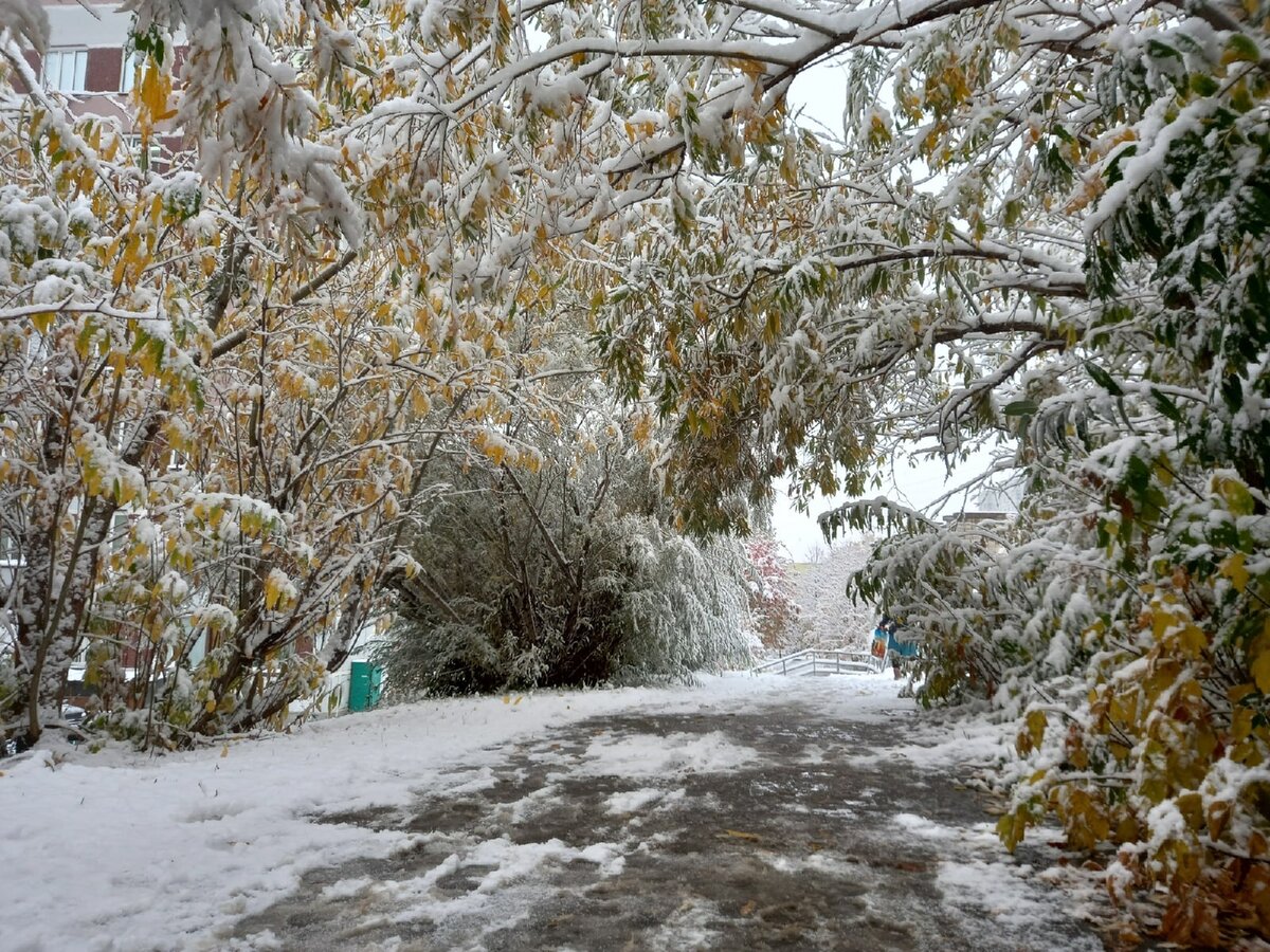 Фото Юлии Ткаченко