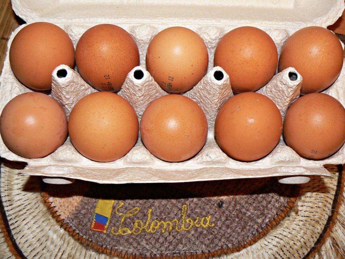Российское яйцо. Могучие яйца. Могущественное яйцо. Яйца Российской армии. Купить яйца в ленинградской