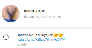 Это метла на фоне стены, а не то, что вы подумали