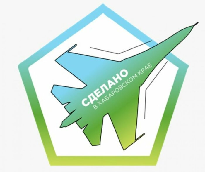 Фото: телеграм-канал Минэкономразвития Хабаровского края. Самолет есть - китов нет.