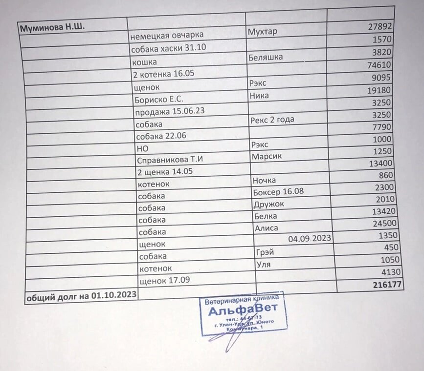 216 тысяч за лечение собак приюта, долг на имени Муминовой НШ