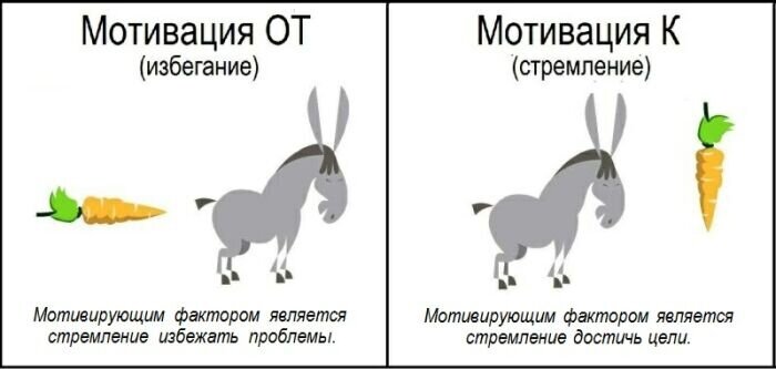 Есть такие женщины, которые не любят позу сзади? - 10 ответов на форуме rebcentr-alyans.ru ()