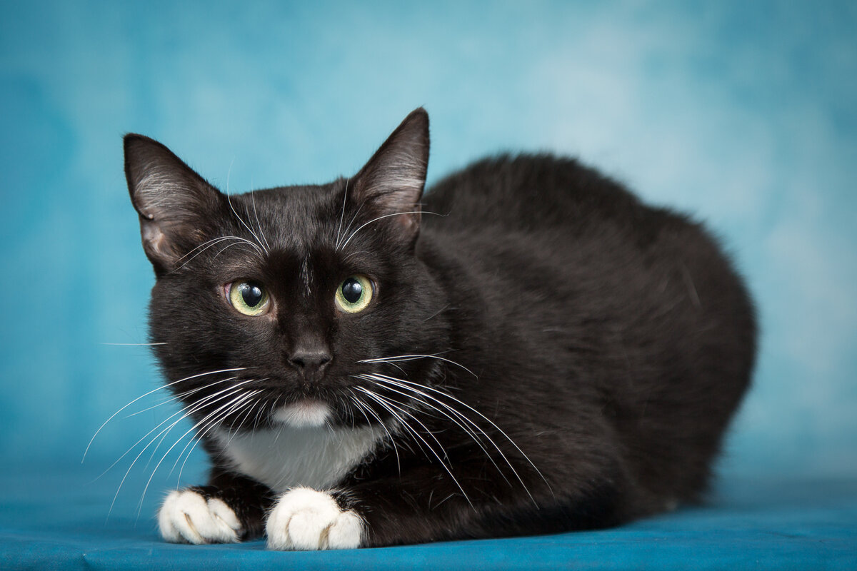 Удивительное совпадение