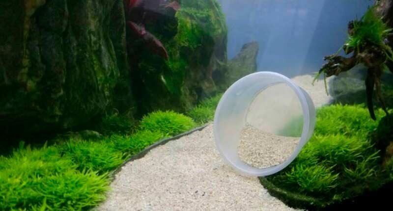 Идеи для фона аквариума: красочные и уникальные решения