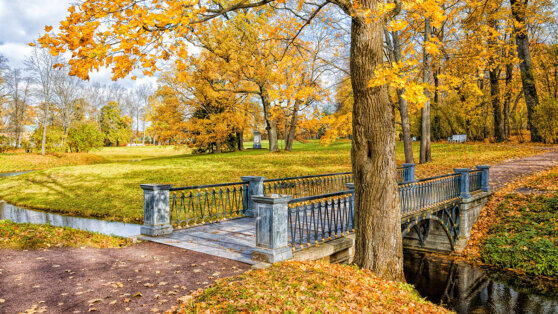    Температура воздуха в Подмосковье повысится во вторник до +18°C Богдан Герцен