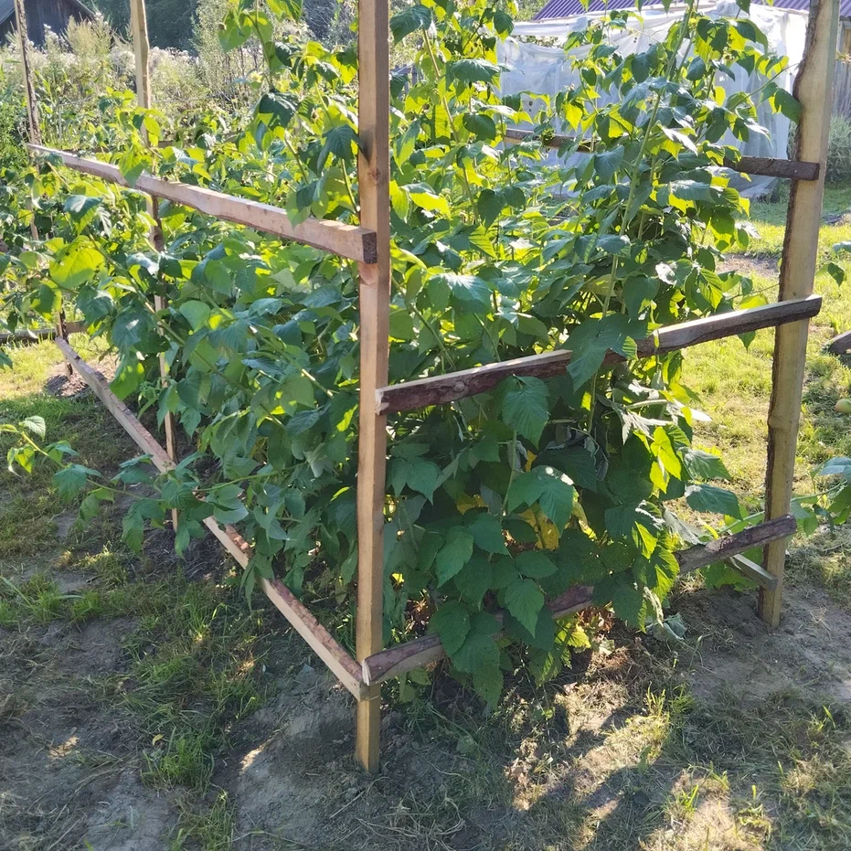 Опоры для малины
