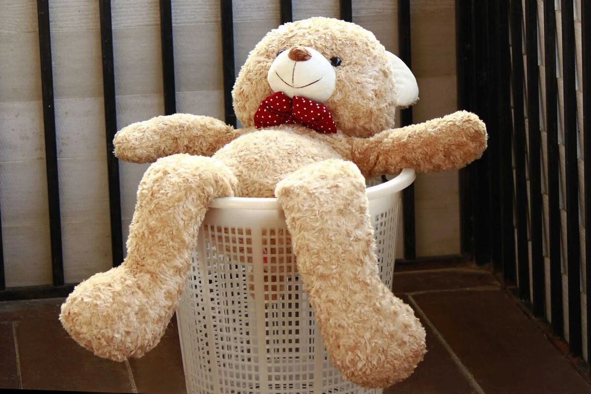 источник: worldcitieschess.com