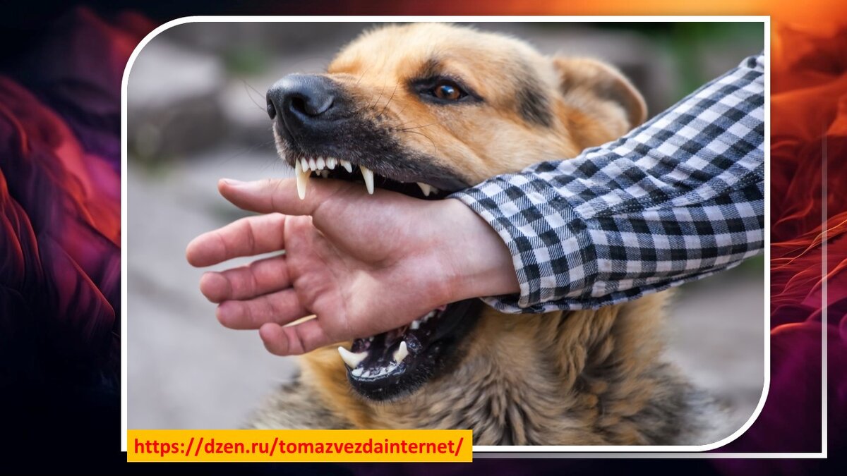 Из открытых источников