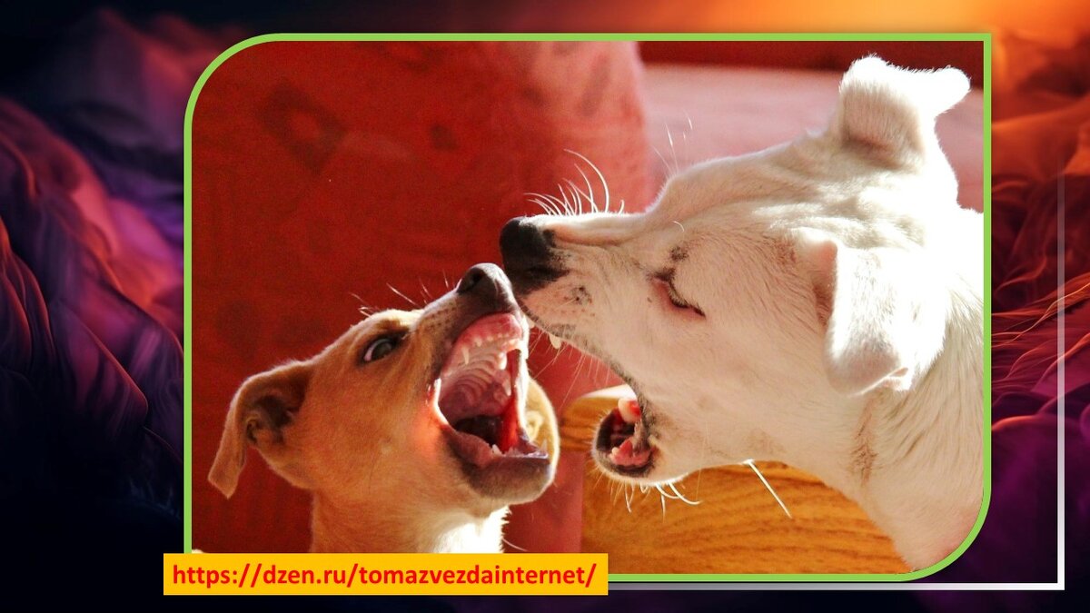 Из открытых источников