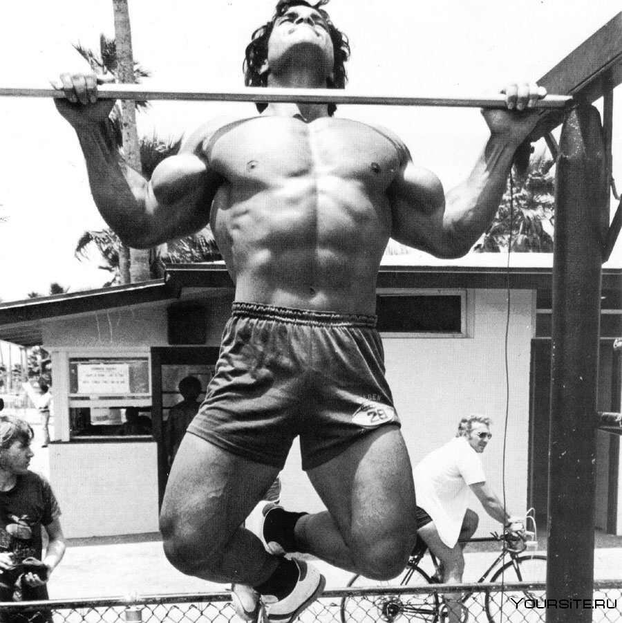 Источник фотографии: Яндекс картинки 
