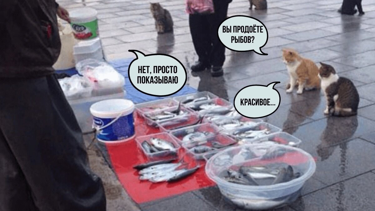 -Ваши ракеты летают?- Нет, только фотографируются. - Фотогеничное 😂