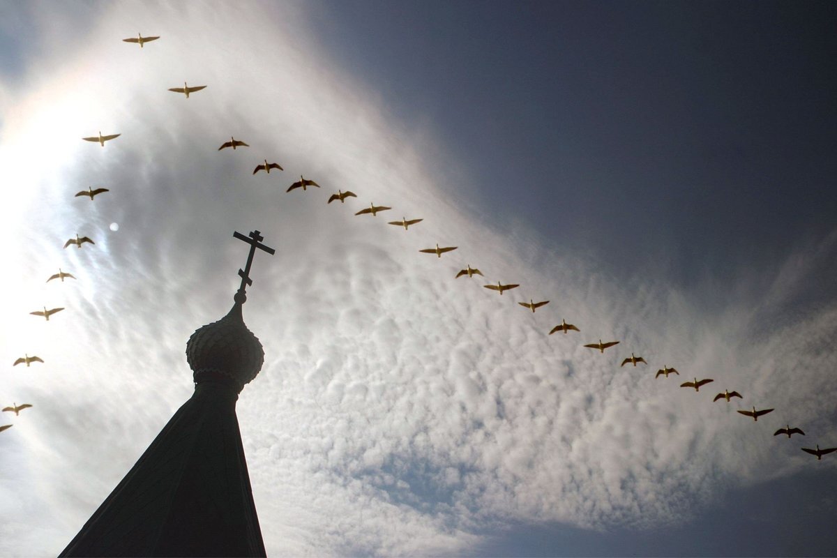 Изображение из открытых источников