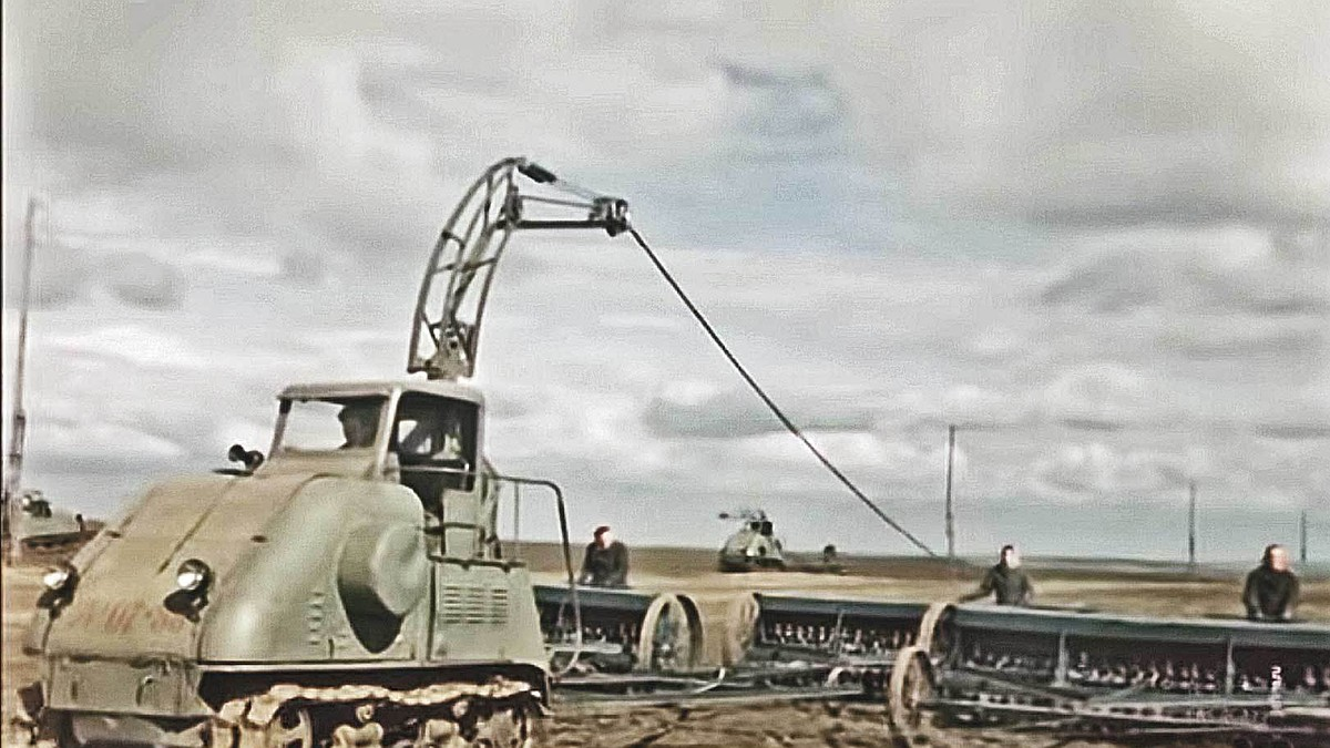 Фото из свободных источников