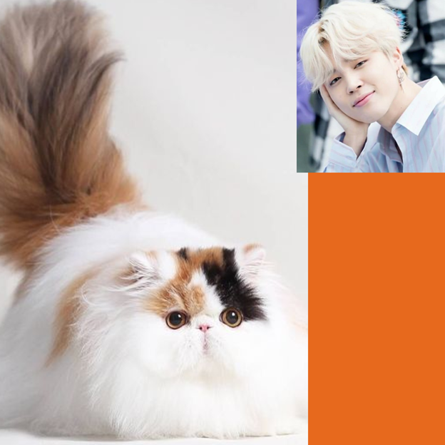 Эх, с таким котом... да на мягком диване..