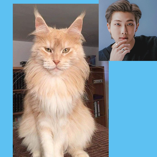 Ну, я думаю, кто здесь хозяин, пояснять не надо?