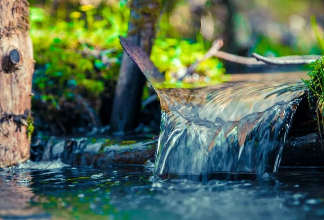 фото из свободных источников