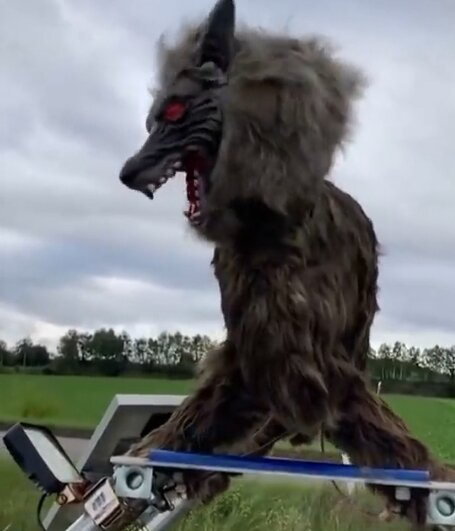 Волкоробот