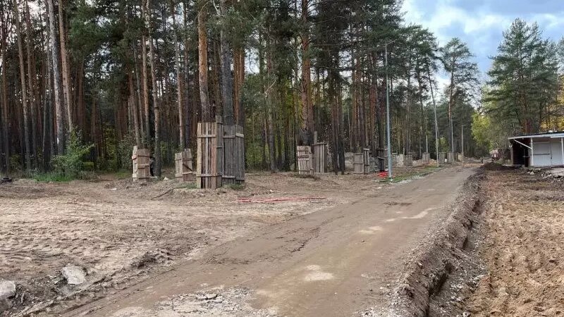     Высадить власти обещают почти 300 деревьев и более 4 тысяч кустарников.