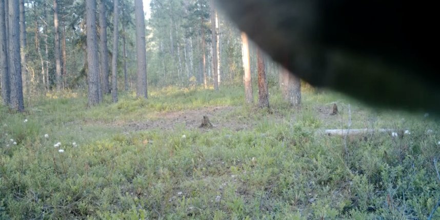    Скриншот видео Telegram-канала Павла Глазкова.