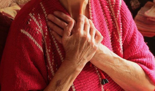 Фото: Zamir Usmanov/Global Look Press 