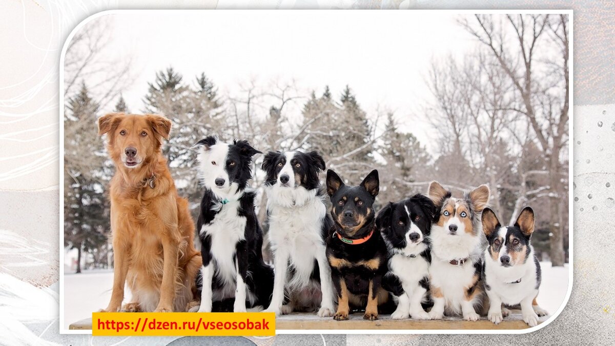 Из открытых источников