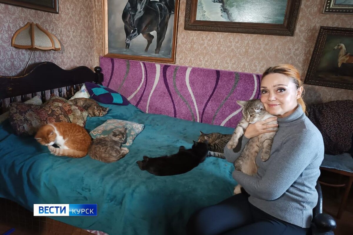    Курянка Лилия Панкратова спасла и приютила 70 бездомных кошек