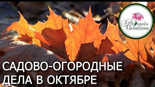 ЧТО НЕОБХОДИМО СДЕЛАТЬ В САДУ И ОГОРОДЕ В ОКТЯБРЕ