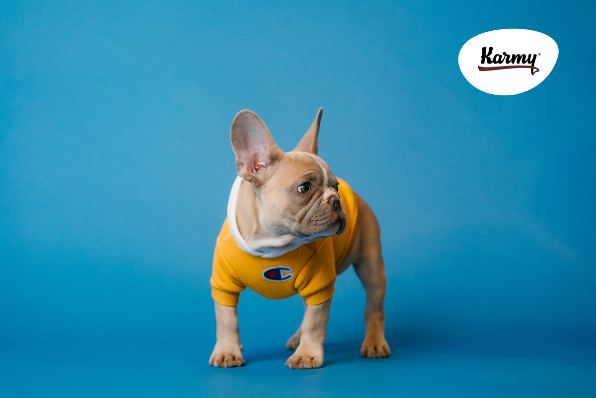 Авторское изображение с использованием картинки с фотостока "Unsplash"