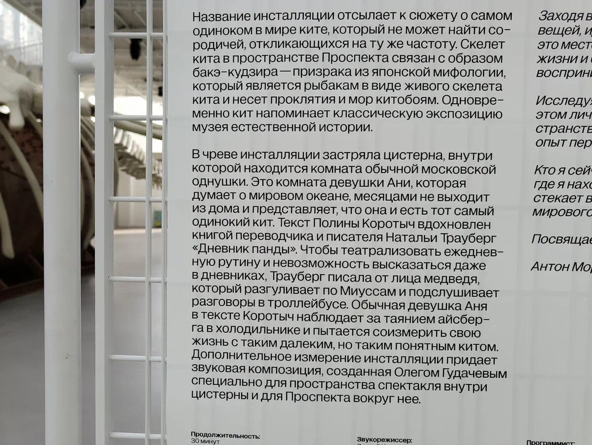 Обнаружила в центре Москвы скелет кита. Зачем в нем живет девушка Аня? |  ВСвете. Путешествия Светы по Свету | Дзен